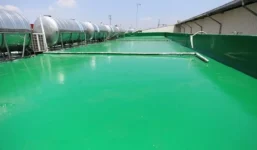 chong tham sai gon 16